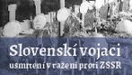 Slovenskí vojaci