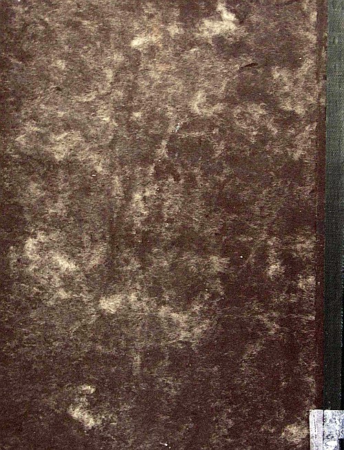 55