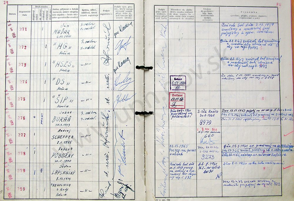 31